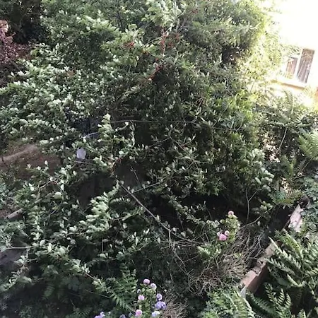 A Peaceful Heaven In The Heart Of Nisantasi